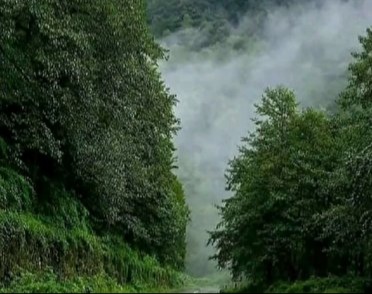 آسمان استان از فردا ابری و بارانی است.