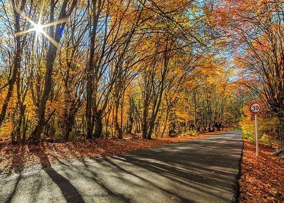 دمای هوا در گیلان افزایش می یابد.