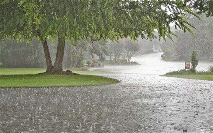 بارش باران از فردا در گیلان/احتمال خسارت به شالیزار‌ها وجود دارد.
