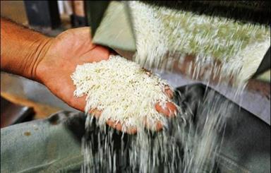 نرخ حق العمل تبدیل شلتوک به برنج در گیلان اعلام شد.
