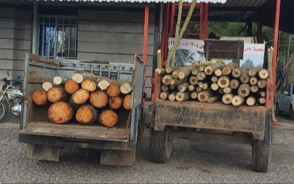 کشف بیش از ۲/۵ تن چوب قاچاق درمنطقه حفاظت شده صومعه سرا
