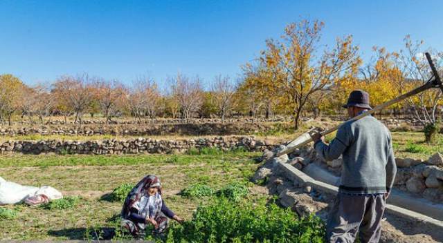 سرشماری کشاورزی با مشارکت ۸۵۰ نفر از شنبه آینده در گیلان آغاز می شود.